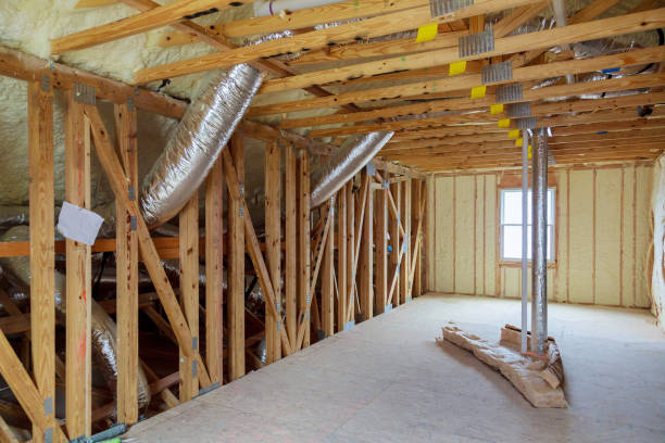 Best Residential Insulation in Olympia, SC