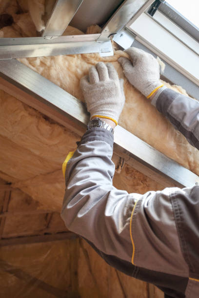 Best Insulation Installation Services in Olympia, SC