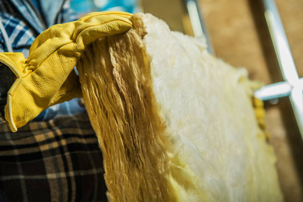 Best Residential Insulation in Olympia, SC