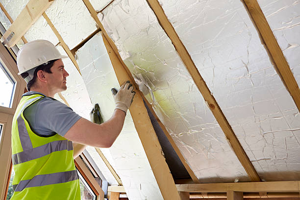 Best Residential Insulation in Olympia, SC